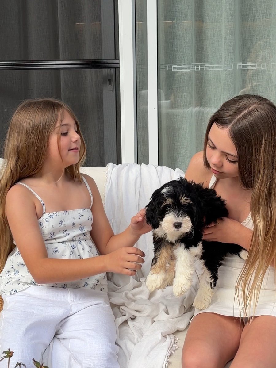 Two girls on an outdoor couch with a Bernedoodle puppy